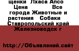 щенки  Лхаса Апсо › Цена ­ 20 000 - Все города Животные и растения » Собаки   . Ставропольский край,Железноводск г.